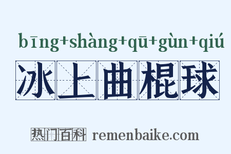 冰上曲棍球是什么意思的图片